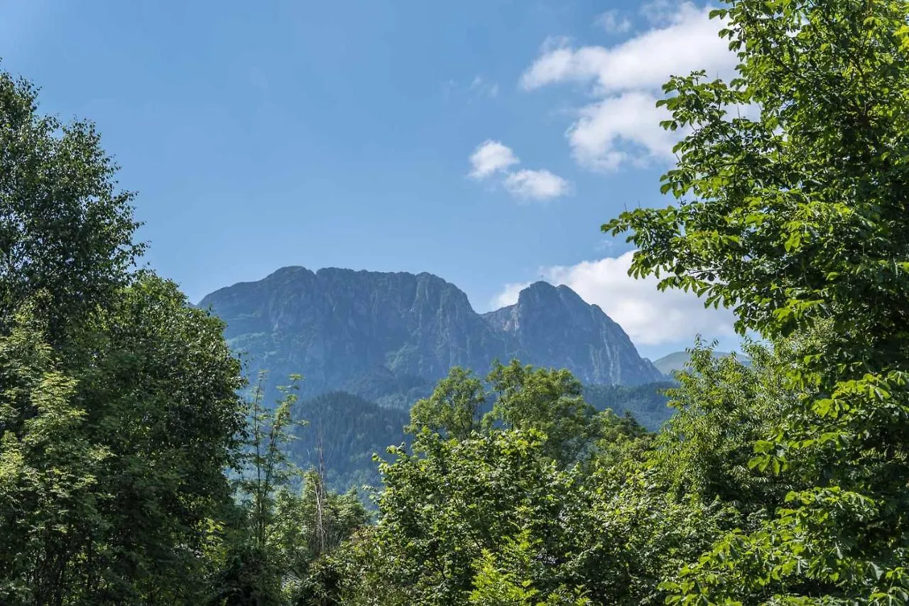 Apartament Czarny Potok Lux Zakopane Apartment